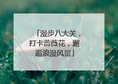 漫步八大关，打卡蔷薇花，邂逅浪漫风景
